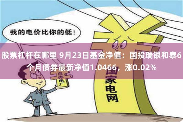 股票杠杆在哪里 9月23日基金净值：国投瑞银和泰6个月债券最