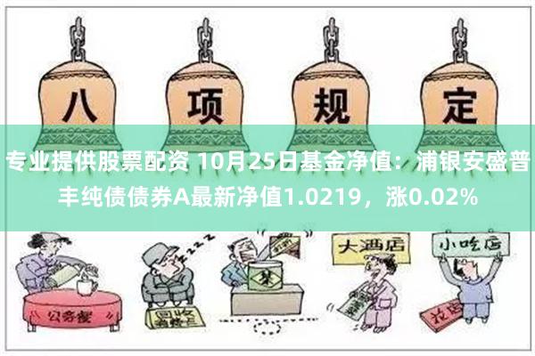 专业提供股票配资 10月25日基金净值：浦银安盛普丰纯债债券