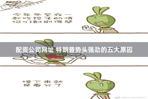 配资公司网址 特朗普势头强劲的五大原因