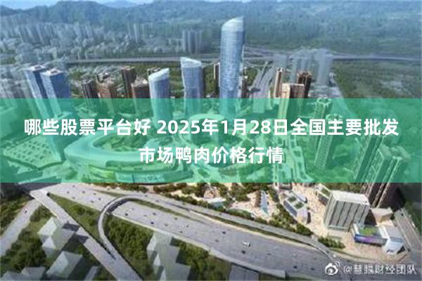 哪些股票平台好 2025年1月28日全国主要批发市场鸭肉价格