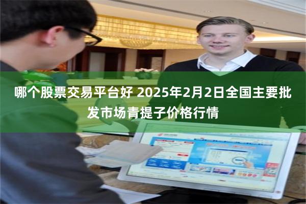 哪个股票交易平台好 2025年2月2日全国主要批发市场青提子