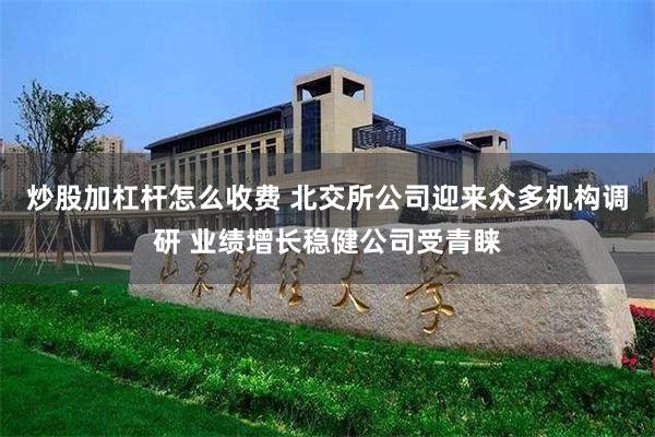 炒股加杠杆怎么收费 北交所公司迎来众多机构调研 业绩增长稳健