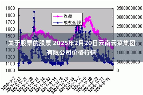 关于股票的股票 2025年2月20日云南云菜集团有限公司价格