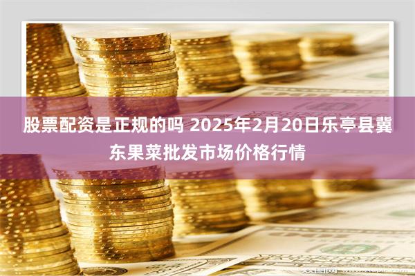 股票配资是正规的吗 2025年2月20日乐亭县冀东果菜批发市