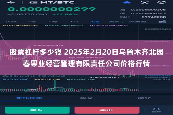 股票杠杆多少钱 2025年2月20日乌鲁木齐北园春果业经营管