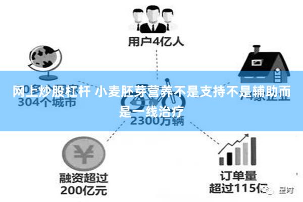 网上炒股杠杆 小麦胚芽营养不是支持不是辅助而是一线治疗