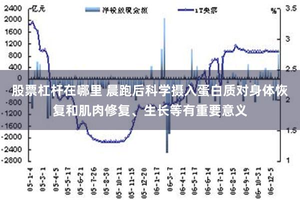 股票杠杆在哪里 晨跑后科学摄入蛋白质对身体恢复和肌肉修复、生